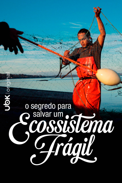 O segredo para salvar um ecossistema frágil  