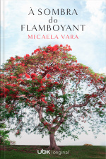 À sombra do flamboyant