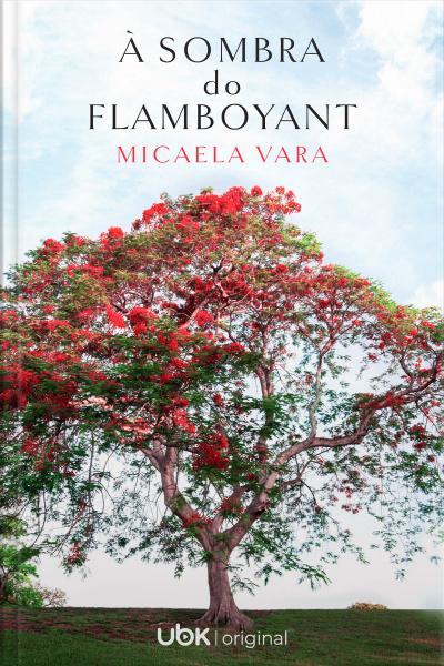 À sombra do flamboyant