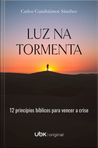 Luz na tormenta: 12 princípios bíblicos para vencer a crise