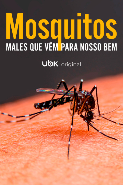 Mosquitos - Males que vêm para nosso bem
